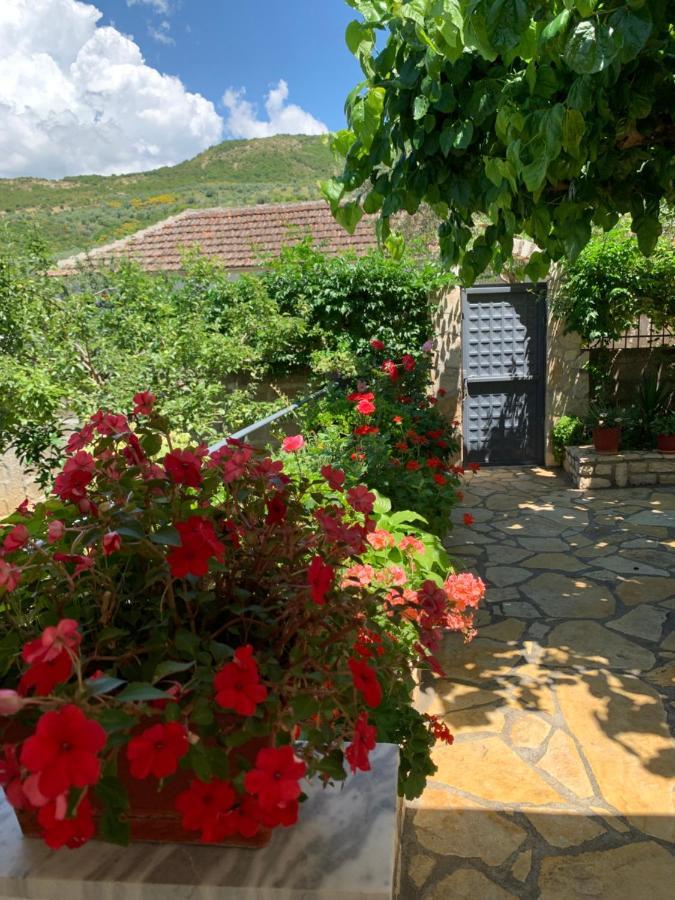 Vjosa Guest House Memaliaj 外观 照片