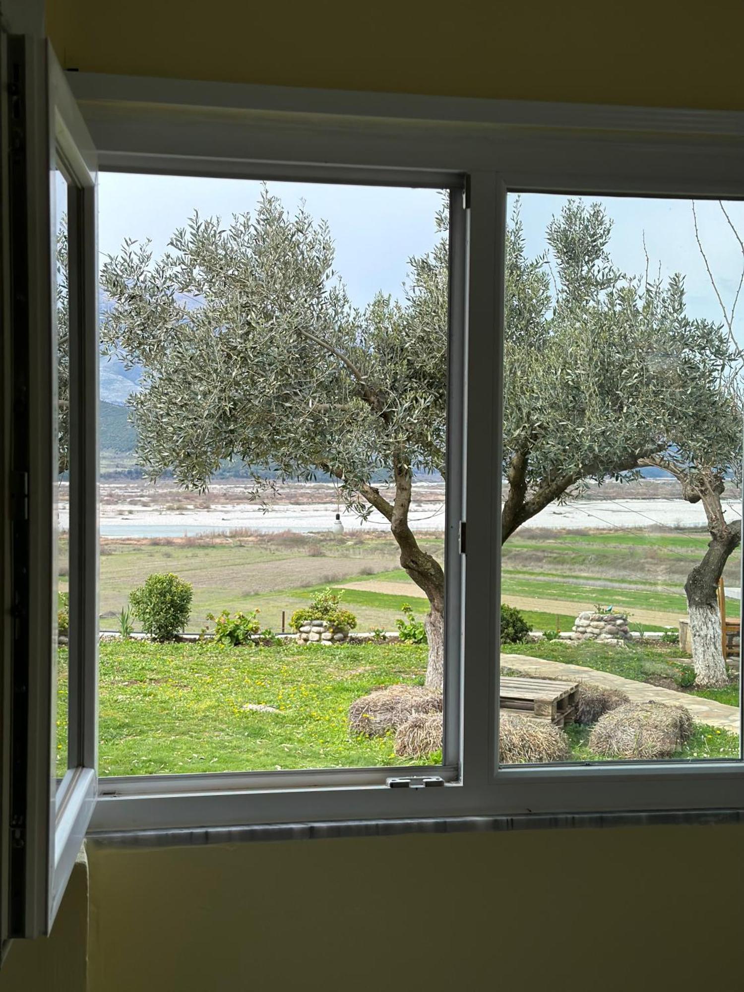 Vjosa Guest House Memaliaj 外观 照片