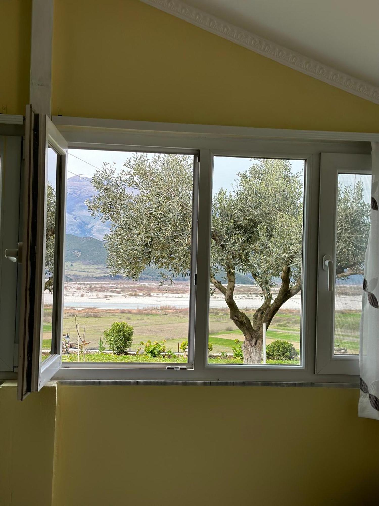 Vjosa Guest House Memaliaj 外观 照片